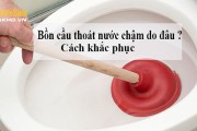 Nguyên nhân bồn cầu thoát nước chậm và cách xử lý