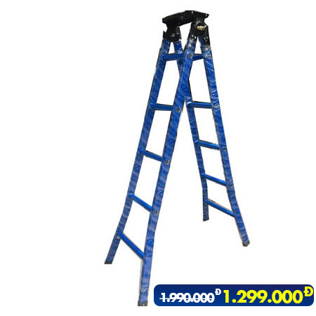 Thang sắt giá rẻ ts30