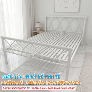 [Nhiều Kích Thước] Giường Sắt Kiểu Cách Điệu DAKITA Màu Đen Và Trắng
