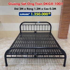 [Rộng 1.2m] Giường Sắt Ống Tròn DAKITA DKGX-1001 Màu Đen