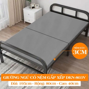 Giường Ngủ Có Nệm Gấp Gọn DAKITA DKN - 803V