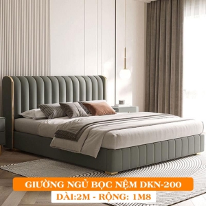 Giường Ngủ Bọc Nệm Dakita Cao Cấp DKN-200 [1m8x2m]