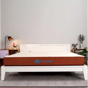 Nệm cao su Aroma Foam Latex