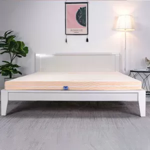 Nệm Gấp 3 Cao Su Aroma Latex