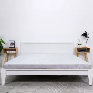 Nệm Bông Ép Xơ Dừa Coco