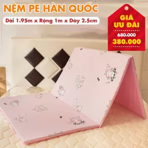 Nệm PE Hàn Quốc Giá Rẻ Nhiều Kích Thước – Màu Ngẫu Nhiên