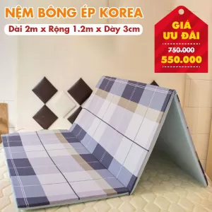 Nệm Bông Ép Giá Rẻ Nhiều Kích Thước
