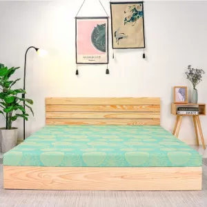 Nệm Cao Su Bông Aroma