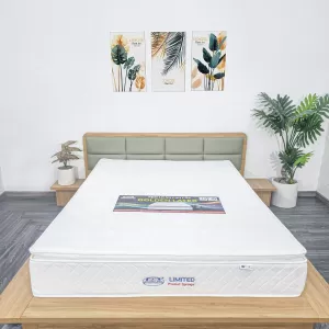 Nệm Lò Xo Túi Limited