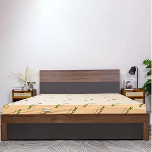 Nệm cao su Ikool 9 massage latex