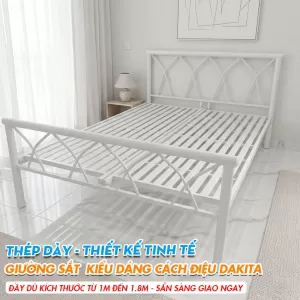 [Nhiều Kích Thước] Giường Sắt Kiểu Cách Điệu DAKITA Màu Đen Và Trắng