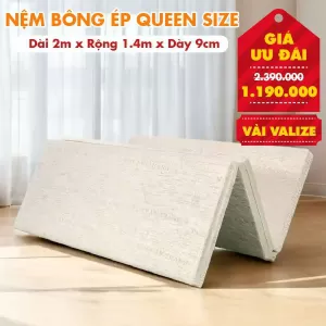 Nệm Bông Ép Queen Size Nhiều Kích Thước