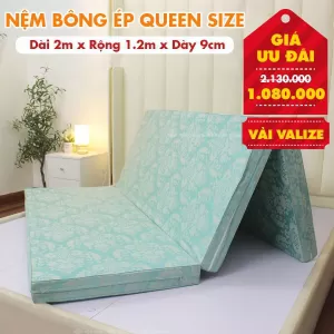 Nệm Bông Ép Queen Size Nhiều Kích Thước