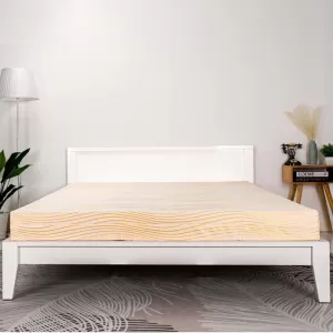 Nệm Cao Su Thiên Nhiên Latex