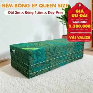 Nệm Bông Ép Queen Size Nhiều Kích Thước