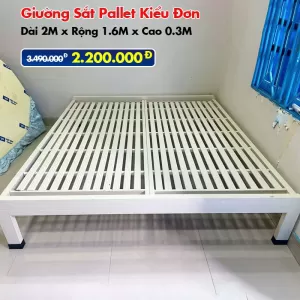 [Rộng 1.6M] Giường Sắt Pallet – Giải Pháp Nội Thất Tiết Kiệm, Hiện Đại