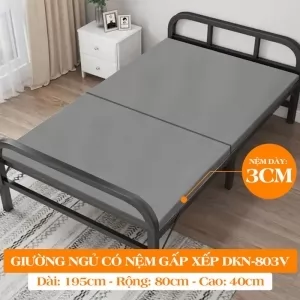 Giường Ngủ Có Nệm Gấp Gọn DAKITA DKN - 803V