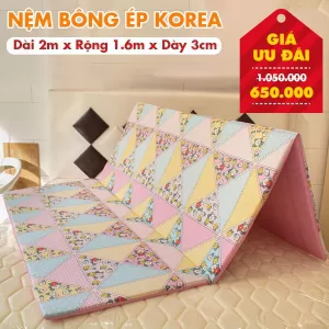 Nệm Bông Ép Giá Rẻ Nhiều Kích Thước