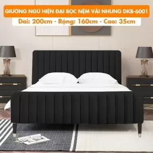 [Rộng 1.6m – Màu Đen] Giường Ngủ Hiện Đại Khung Gỗ Bọc Nệm Vải Nhung DKB-6001 Đen