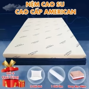 [Nệm Dày 10cm] Nệm Cao Su Non America - Nhiều Kích Thước