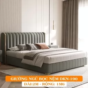Giường Ngủ Bọc Nệm Dakita Cao Cấp DKN-190 [1m6x2m]